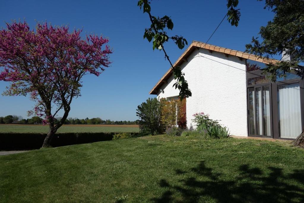 A Proximite Du Futuroscope Et Des Marais Poitevin Villa Rouille Bagian luar foto